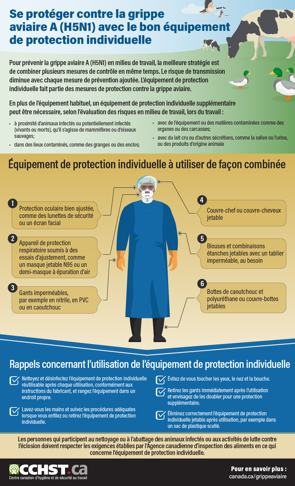 Infographie :  Se protéger contre la grippe aviaire A (H5N1) avec le bon équipement de protection individuelle